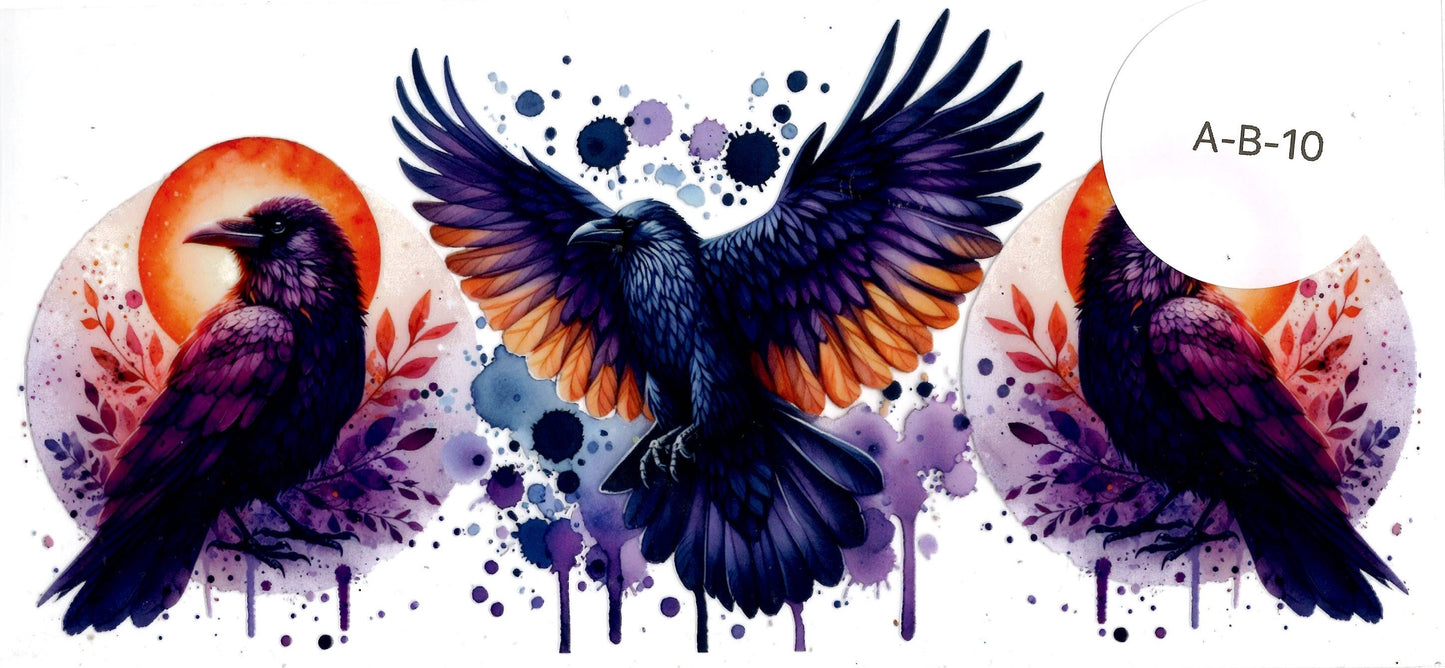 Animal - Birds