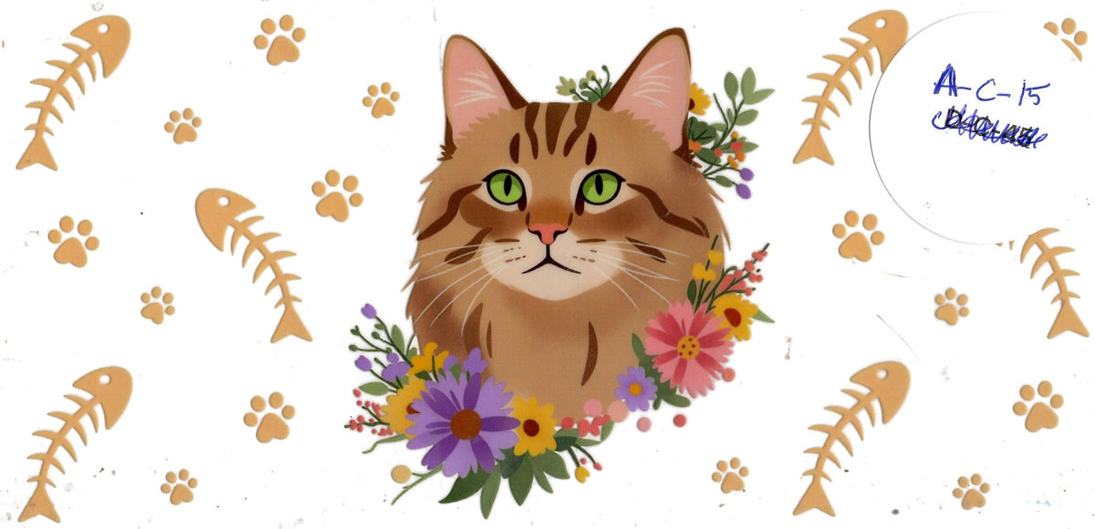 Animal - Cat