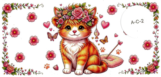 Animal - Cat