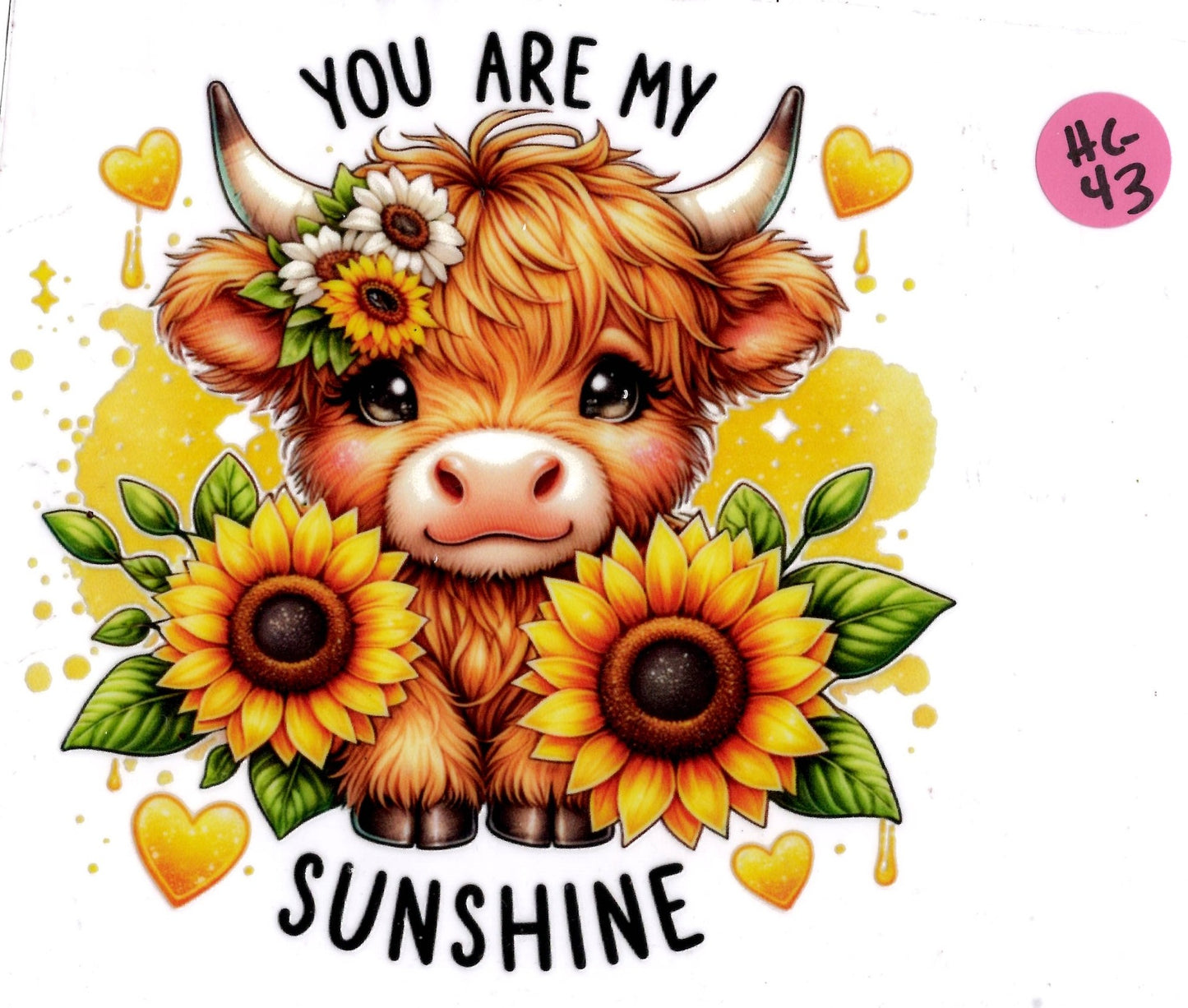 Animal - Highland Cow