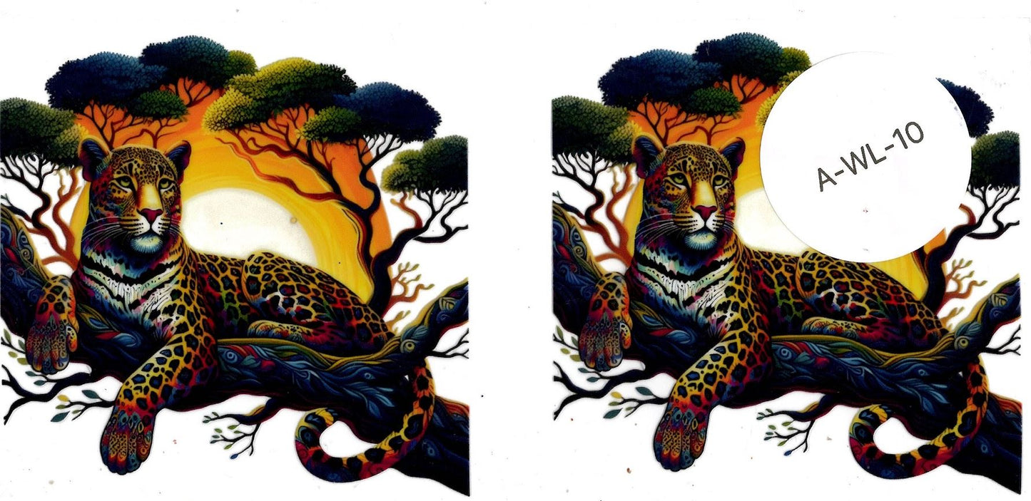 Animal - Wildlife