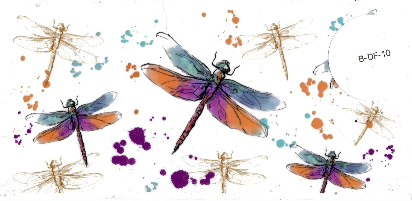 Bugs - Dragonfly