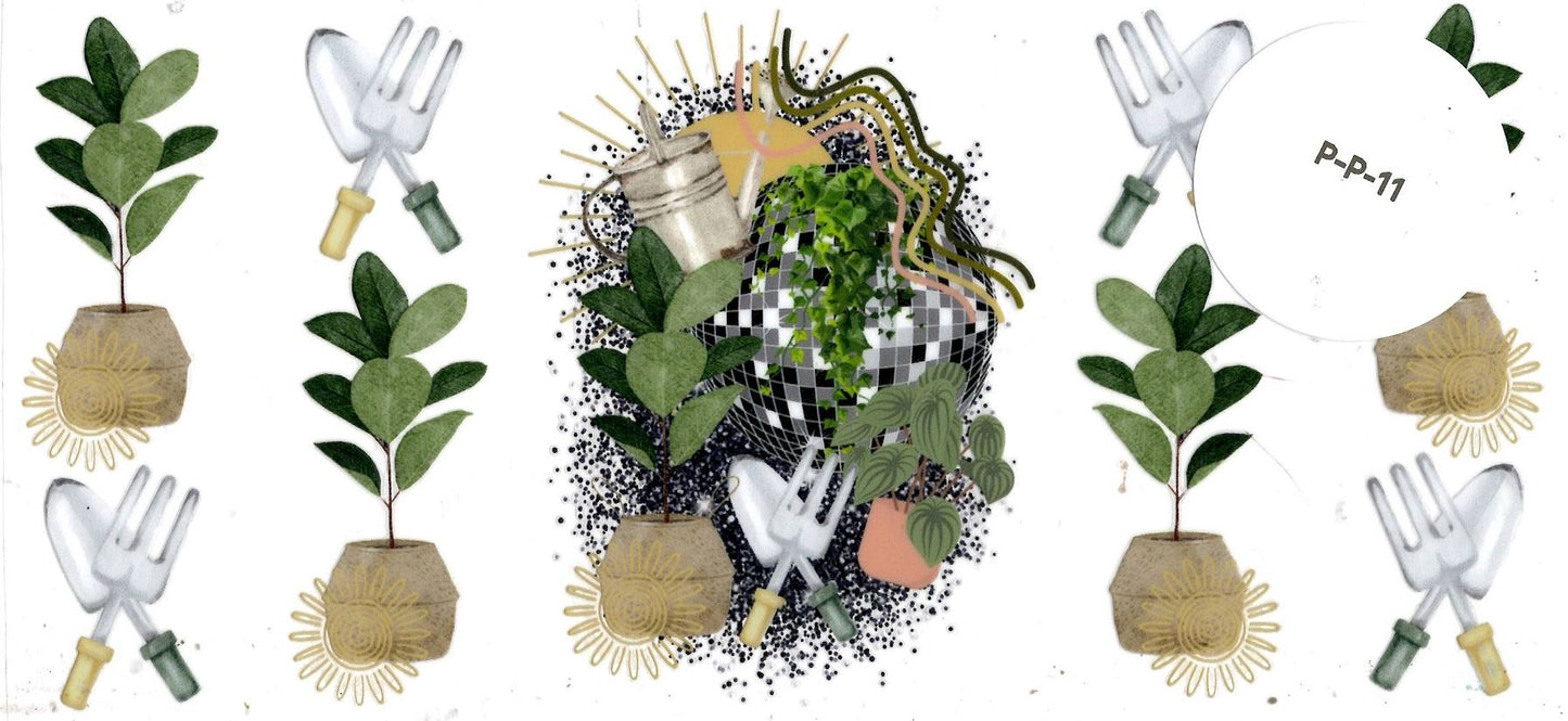 Plants
