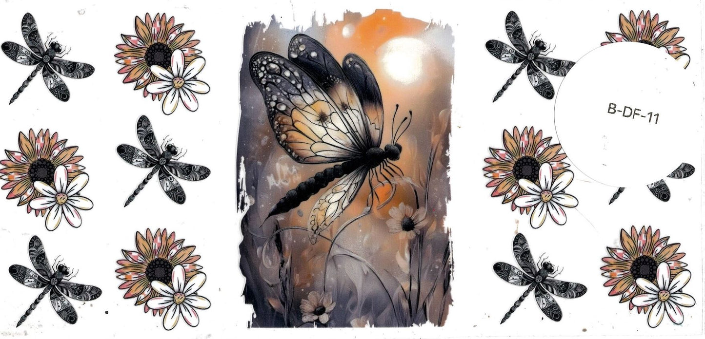 Bugs - Dragonfly