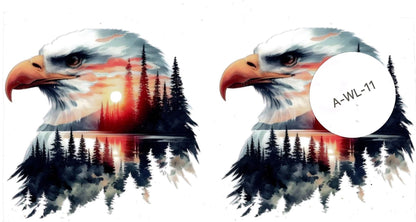 Animal - Wildlife