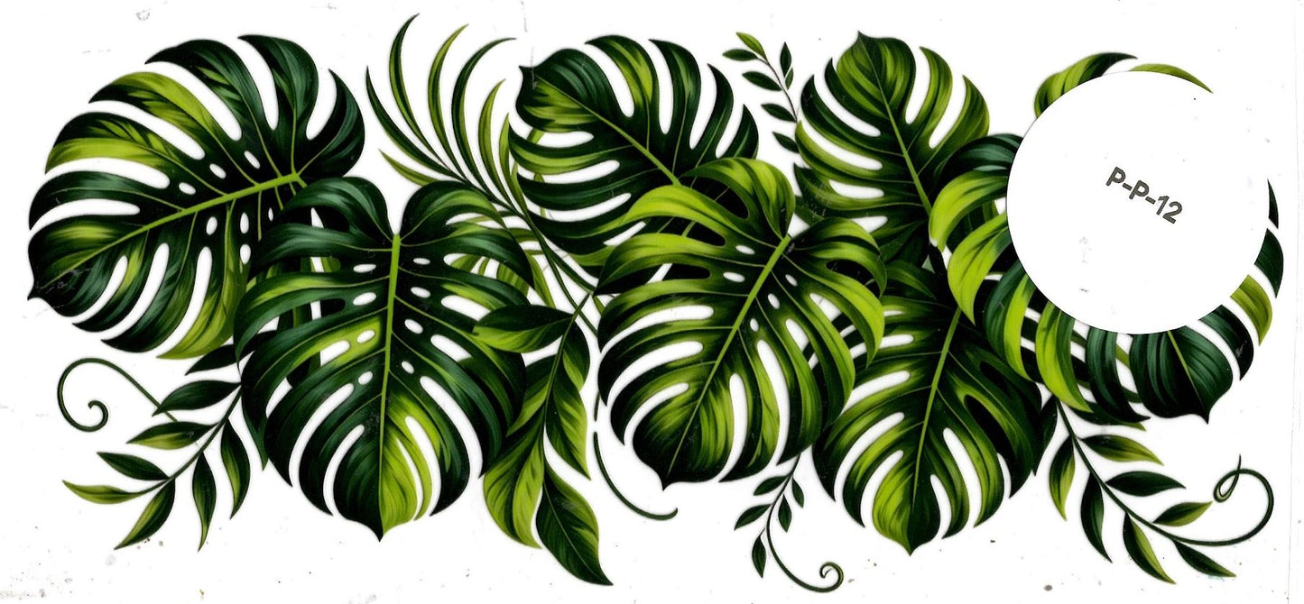Plants