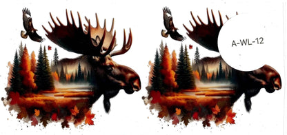 Animal - Wildlife