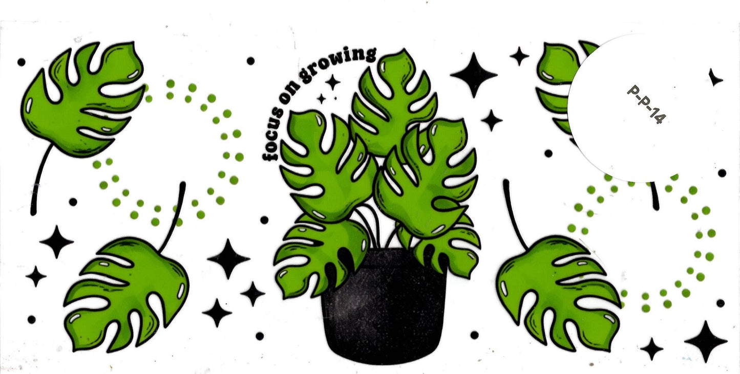 Plants