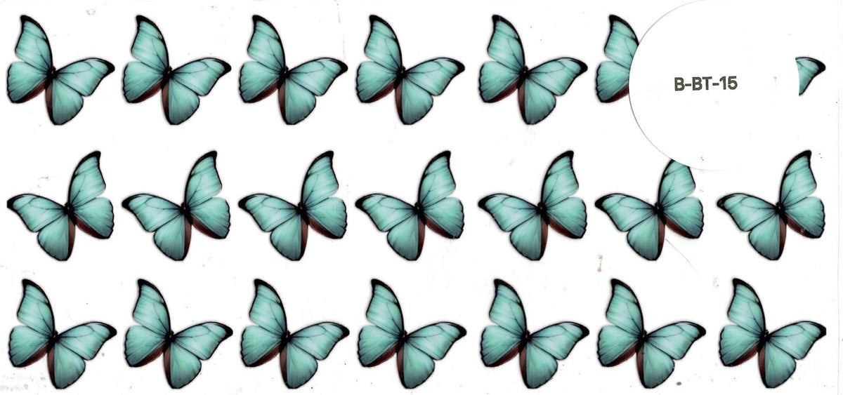 Bugs-Butterfly
