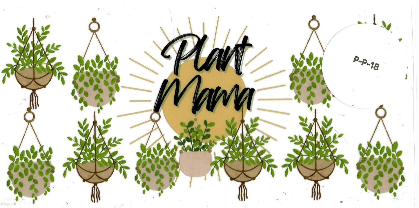 Plants
