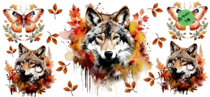Animal - Wildlife