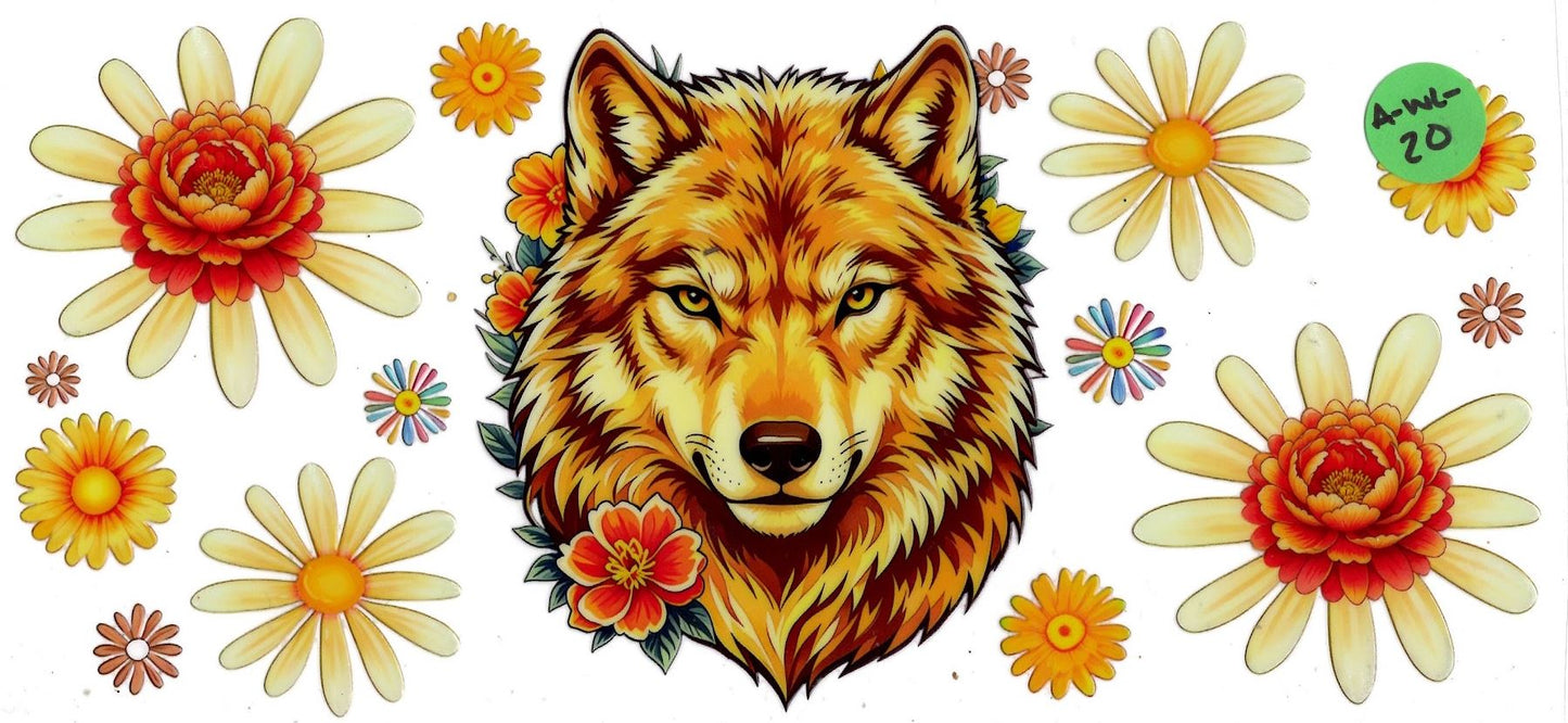 Animal - Wildlife
