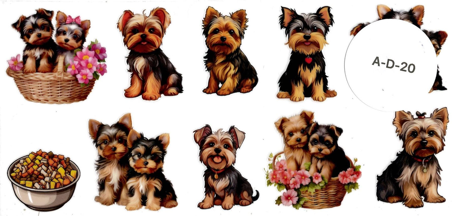 Animal - Dog