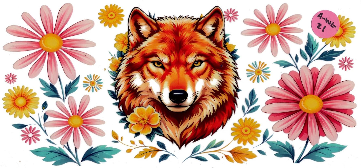 Animal - Wildlife
