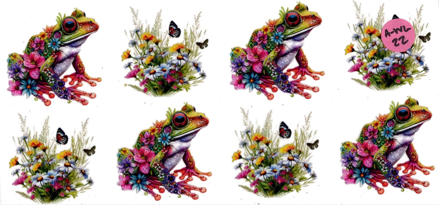 Animal - Wildlife