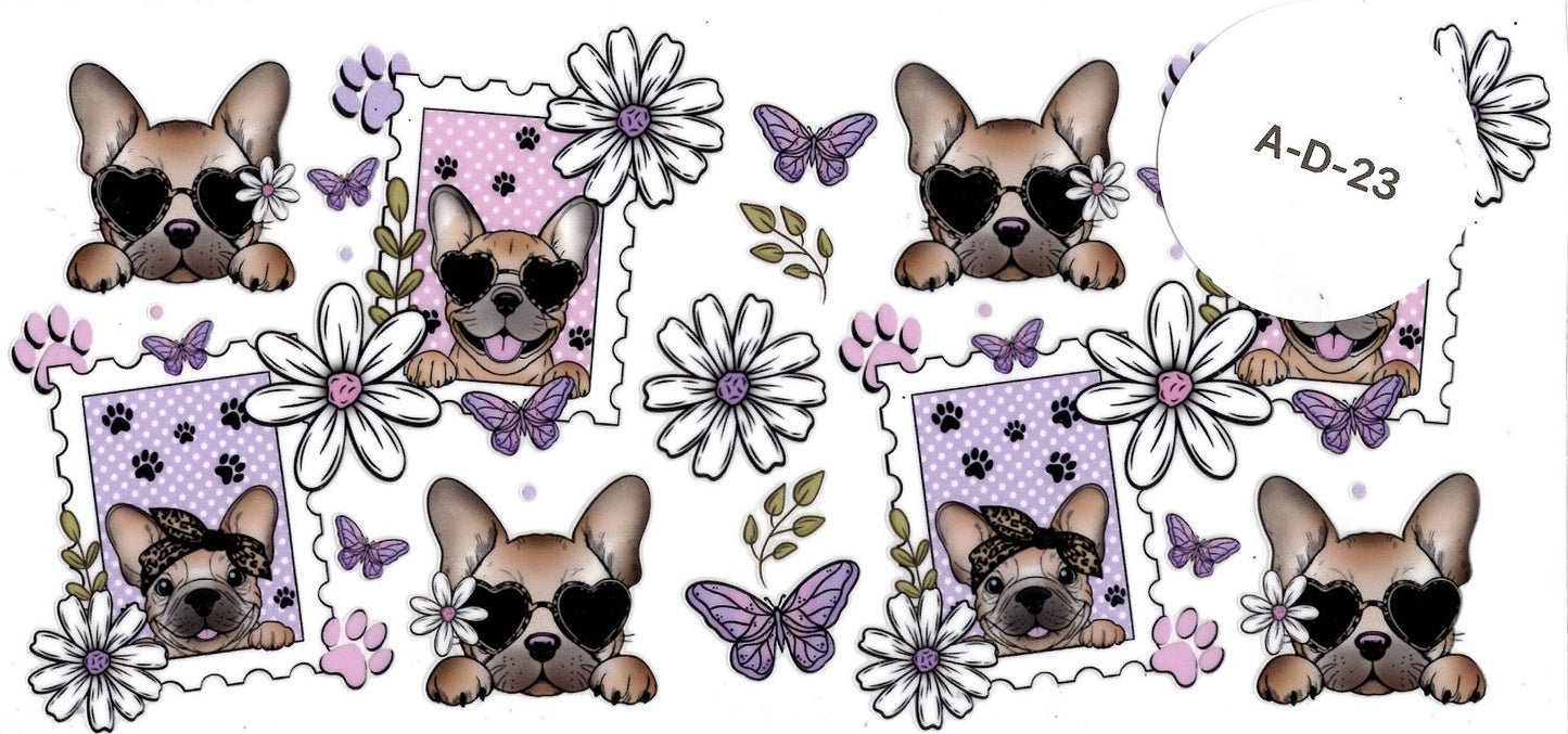 Animal - Dog