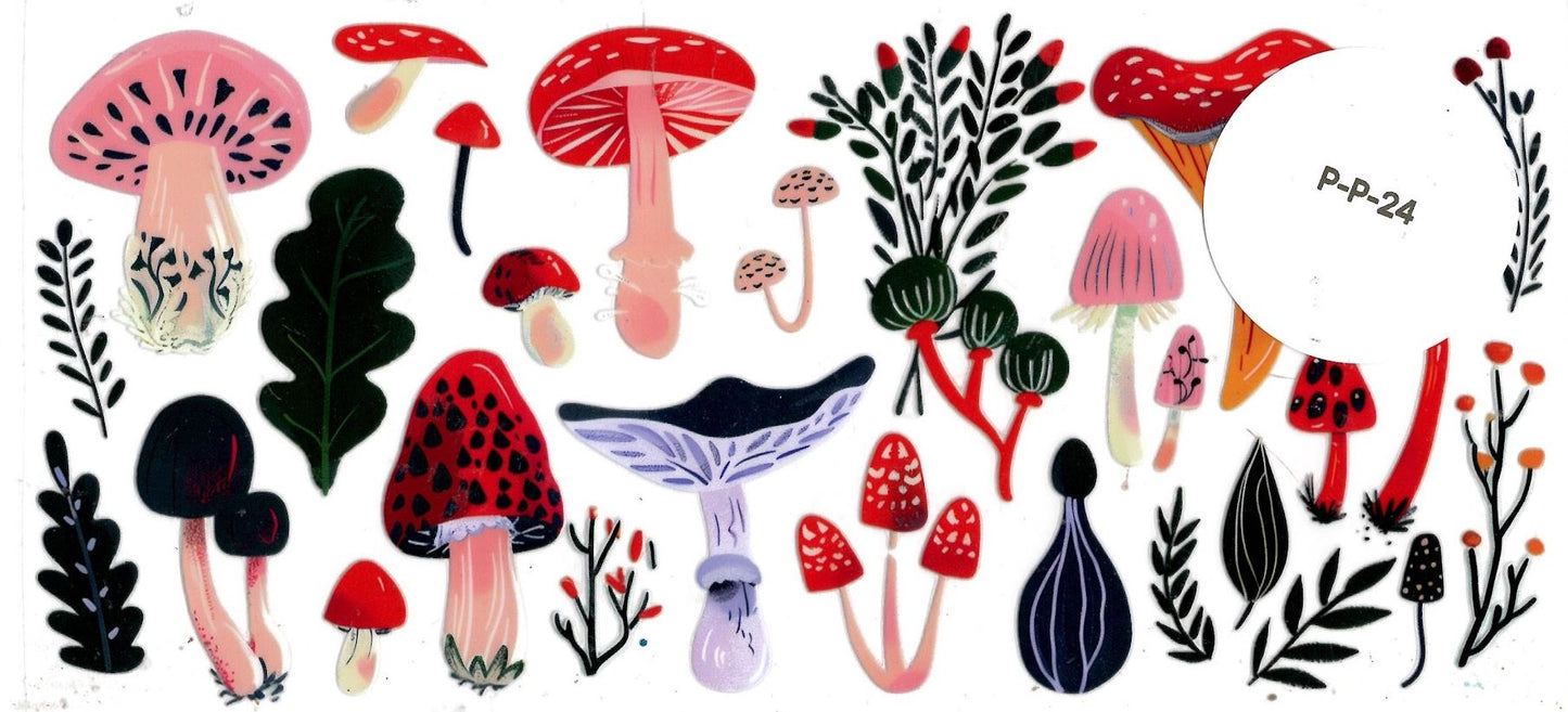 Plants