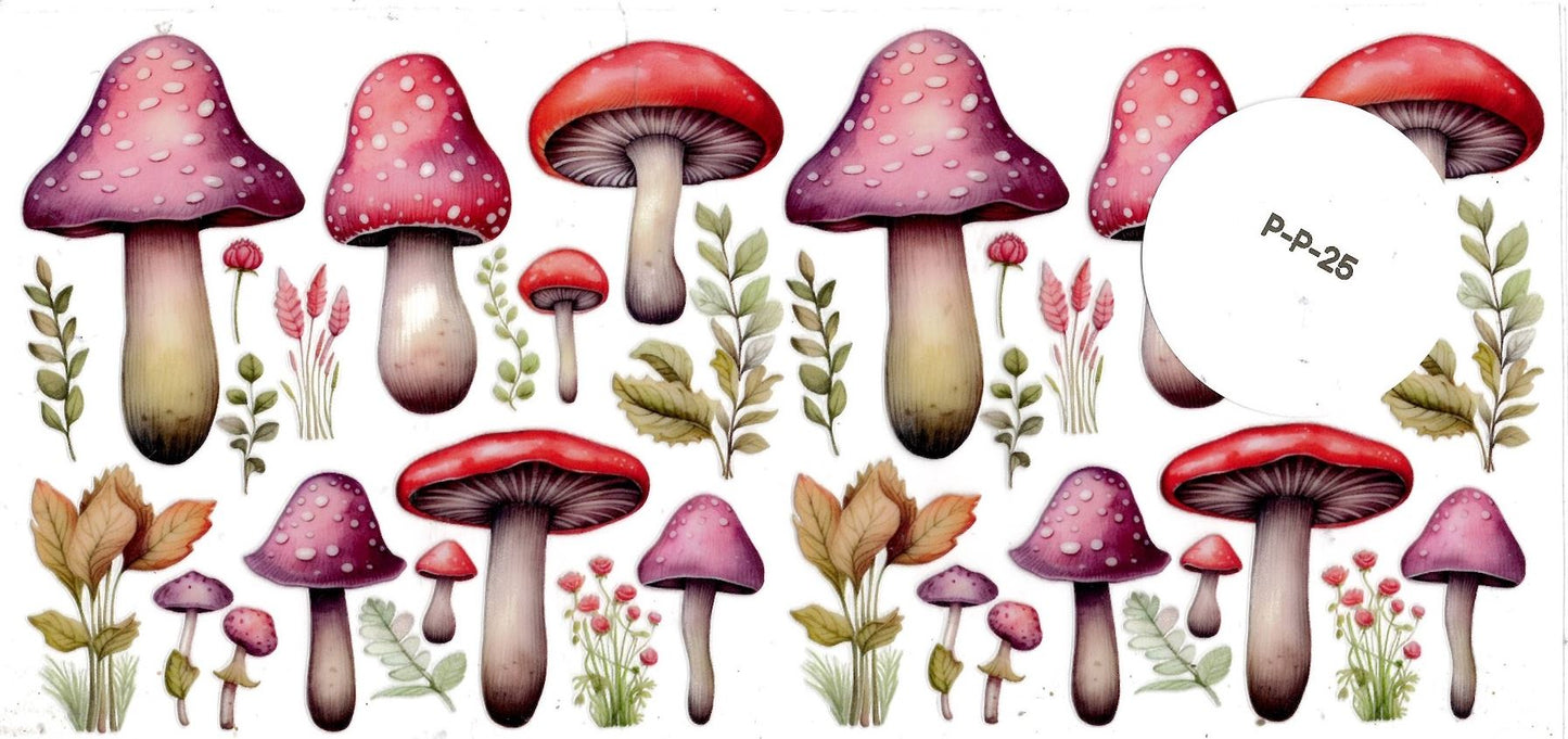 Plants