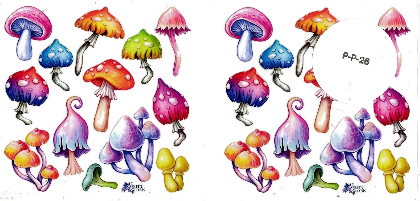 Plants