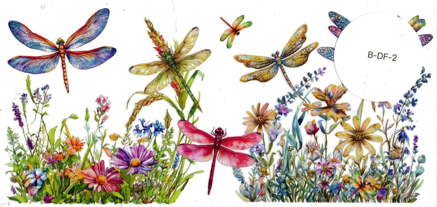 Bugs - Dragonfly
