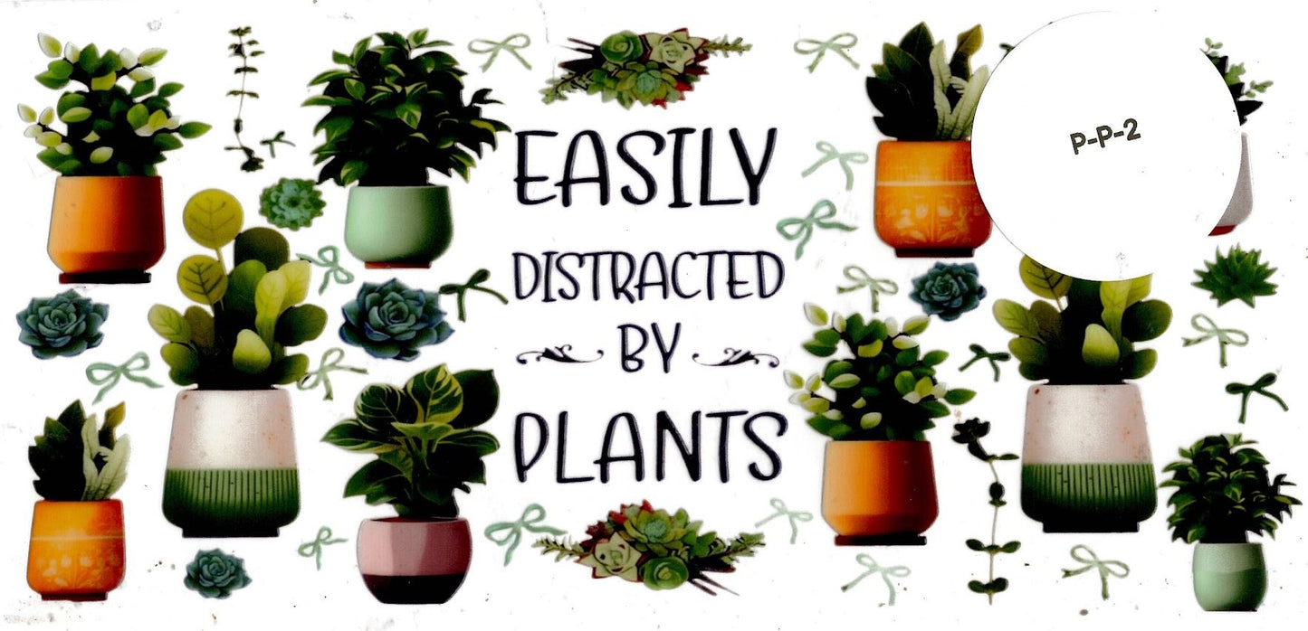 Plants