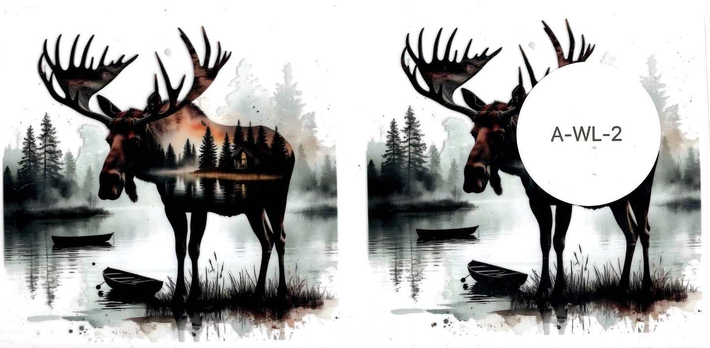 Animal - Wildlife