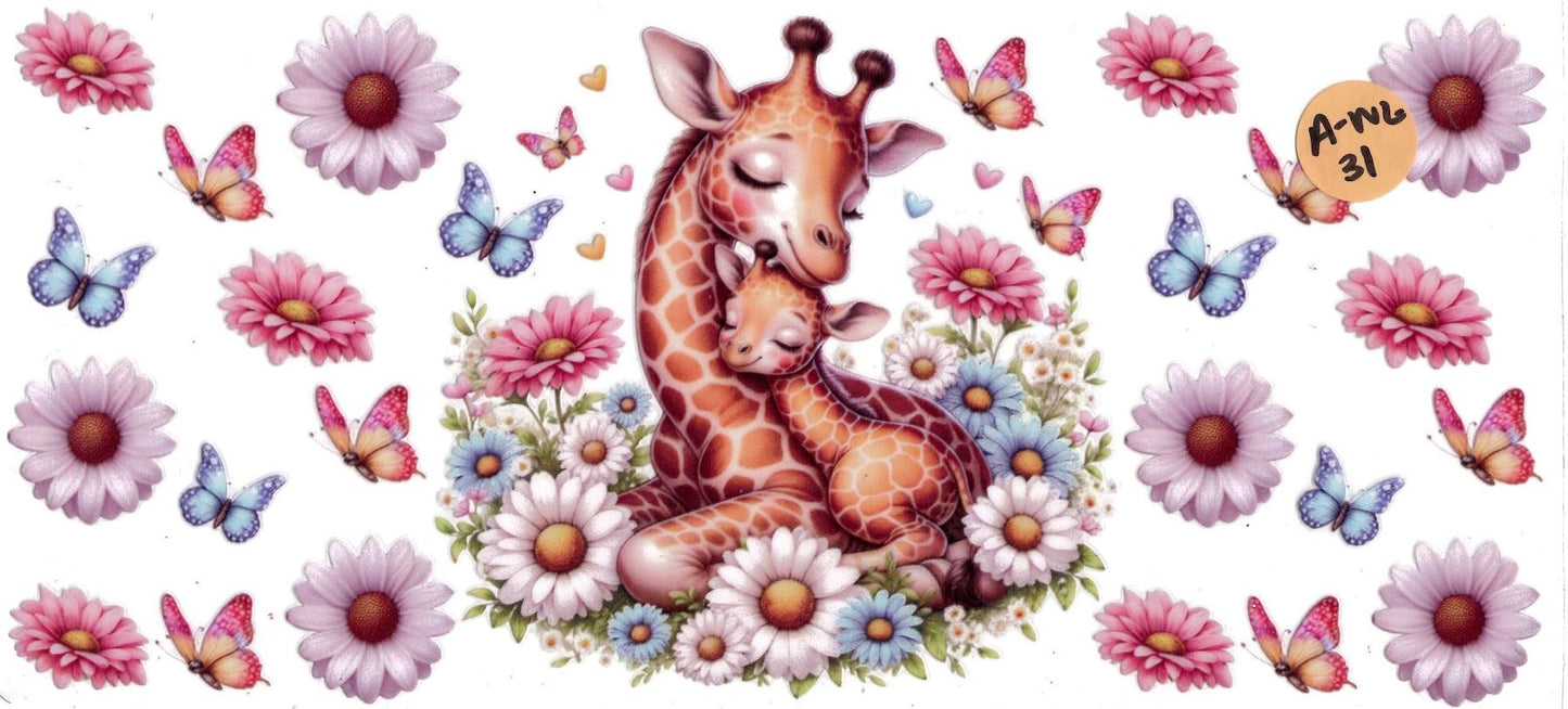 Animal - Wildlife
