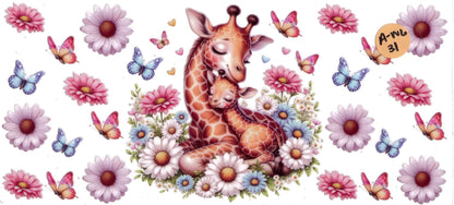 Animal - Wildlife