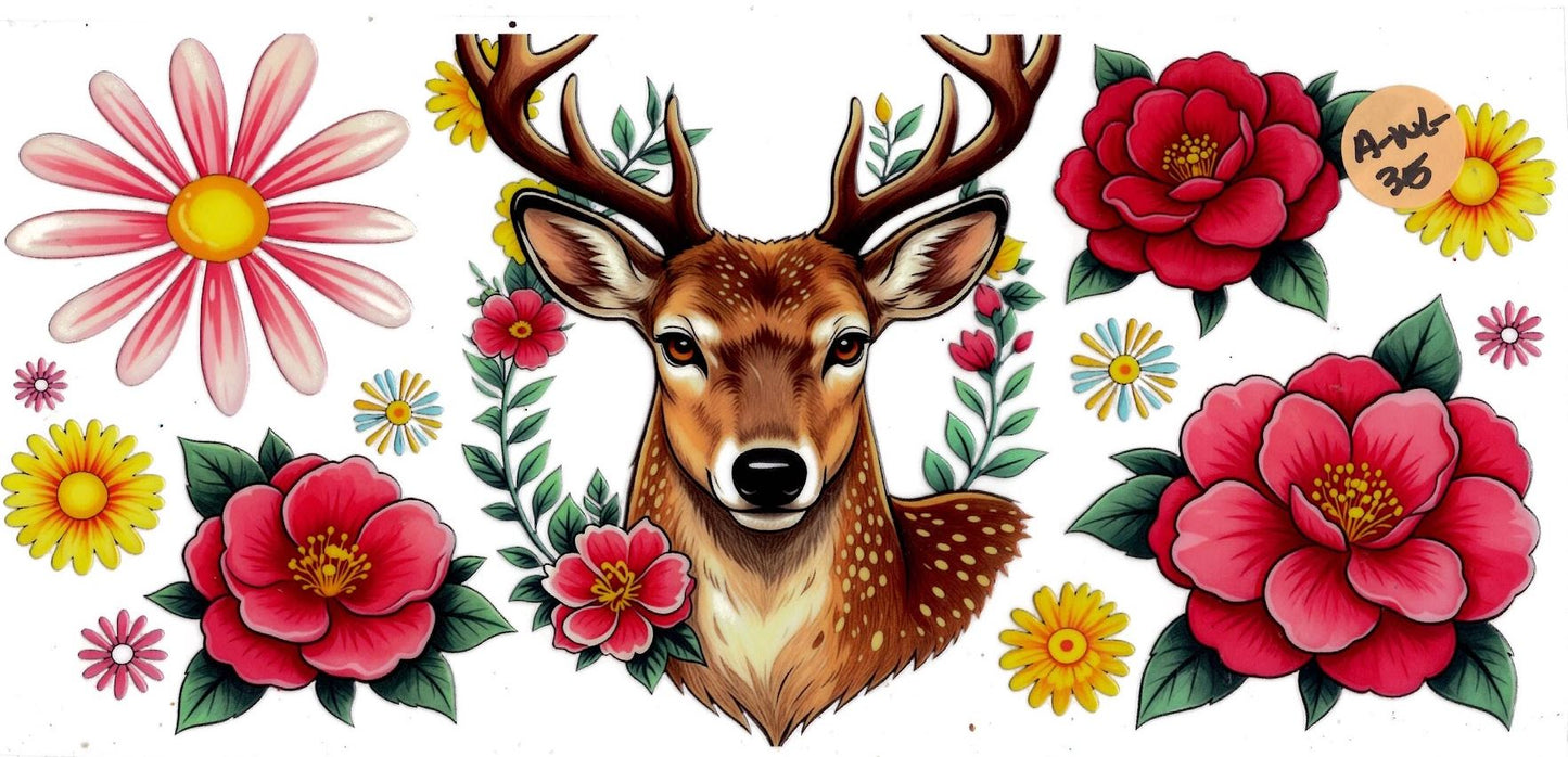 Animal - Wildlife
