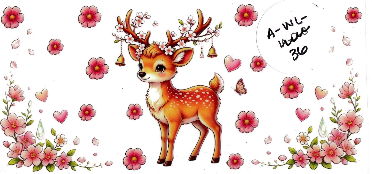 Animal - Wildlife