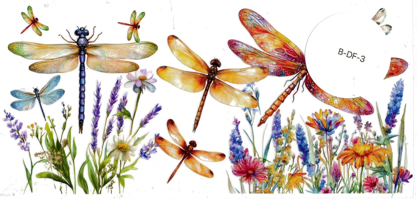 Bugs - Dragonfly