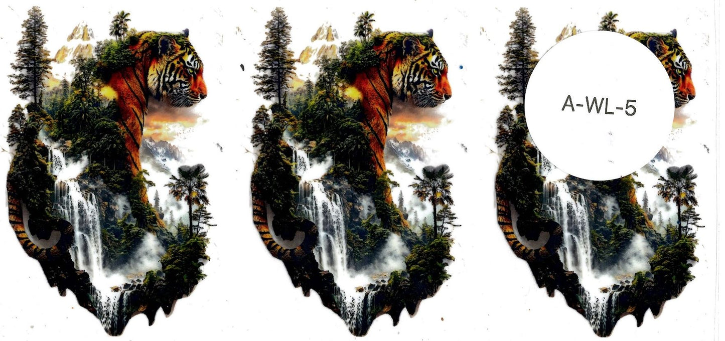 Animal - Wildlife