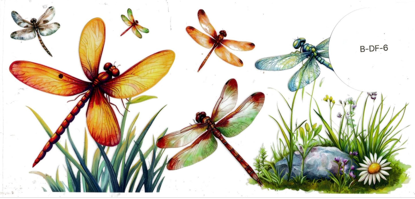 Bugs - Dragonfly