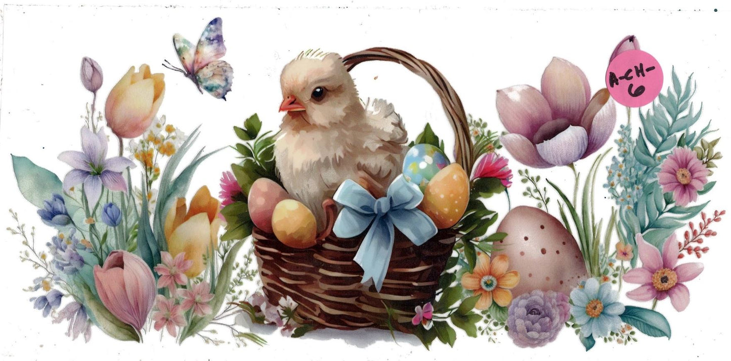 Animal - Chicken