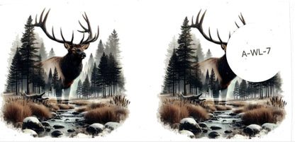 Animal - Wildlife
