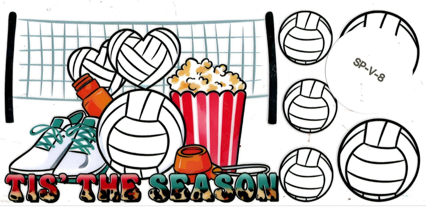 Sports - Volleyball