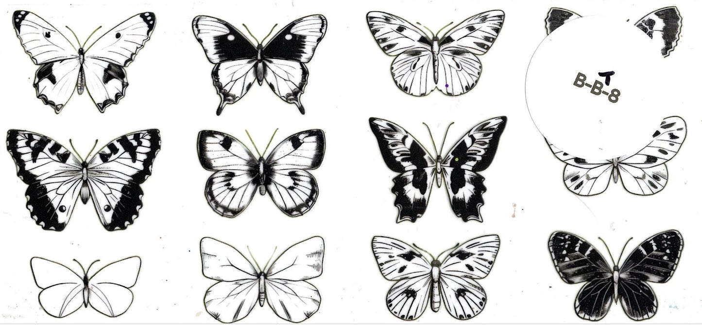 Bugs-Butterfly