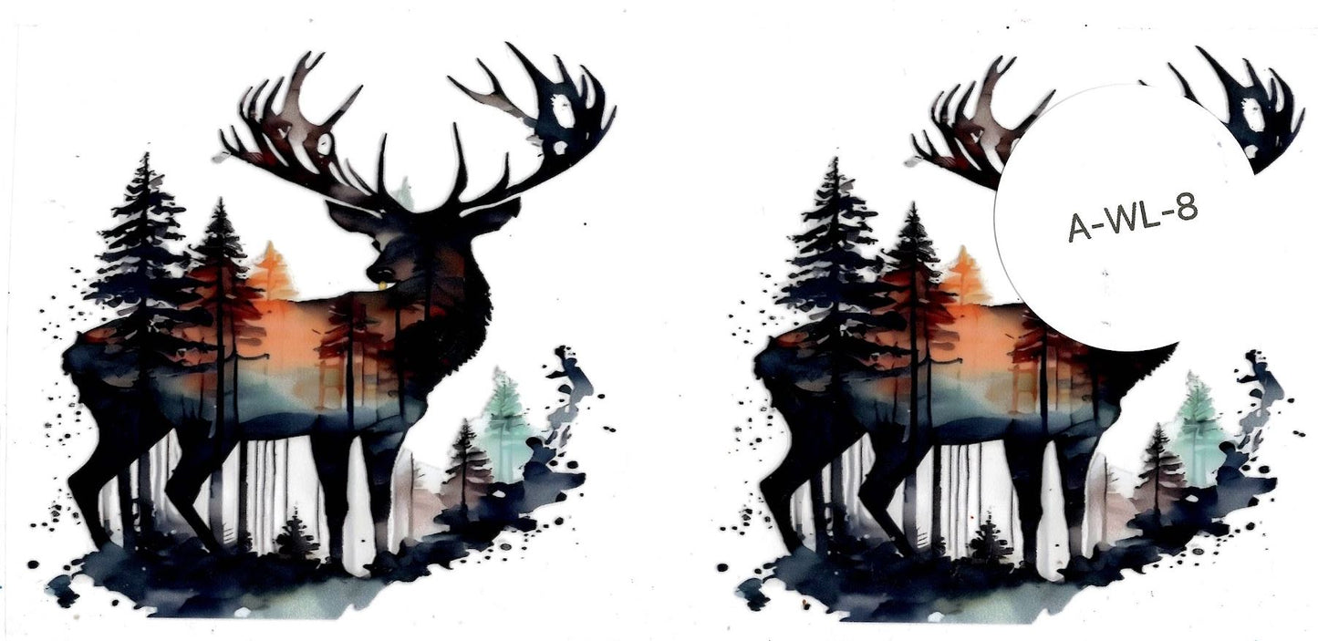 Animal - Wildlife