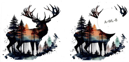 Animal - Wildlife