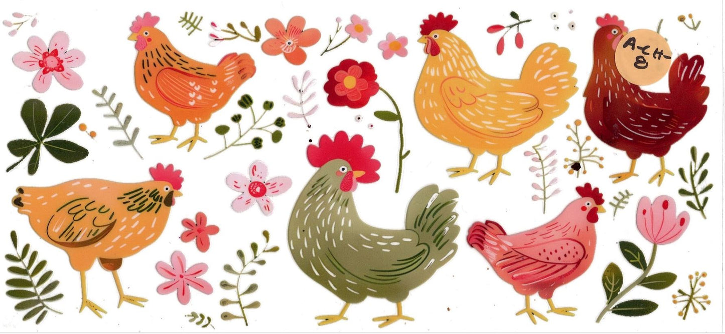 Animal - Chicken
