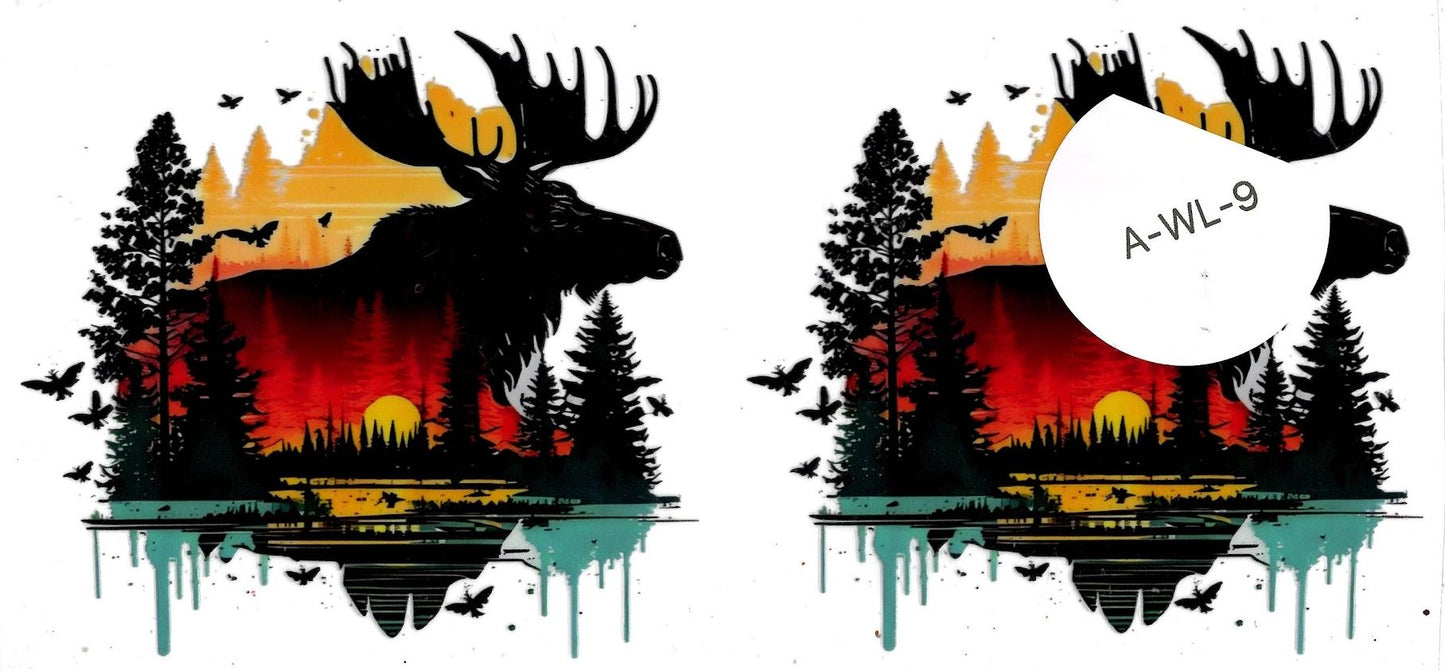 Animal - Wildlife