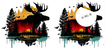 Animal - Wildlife