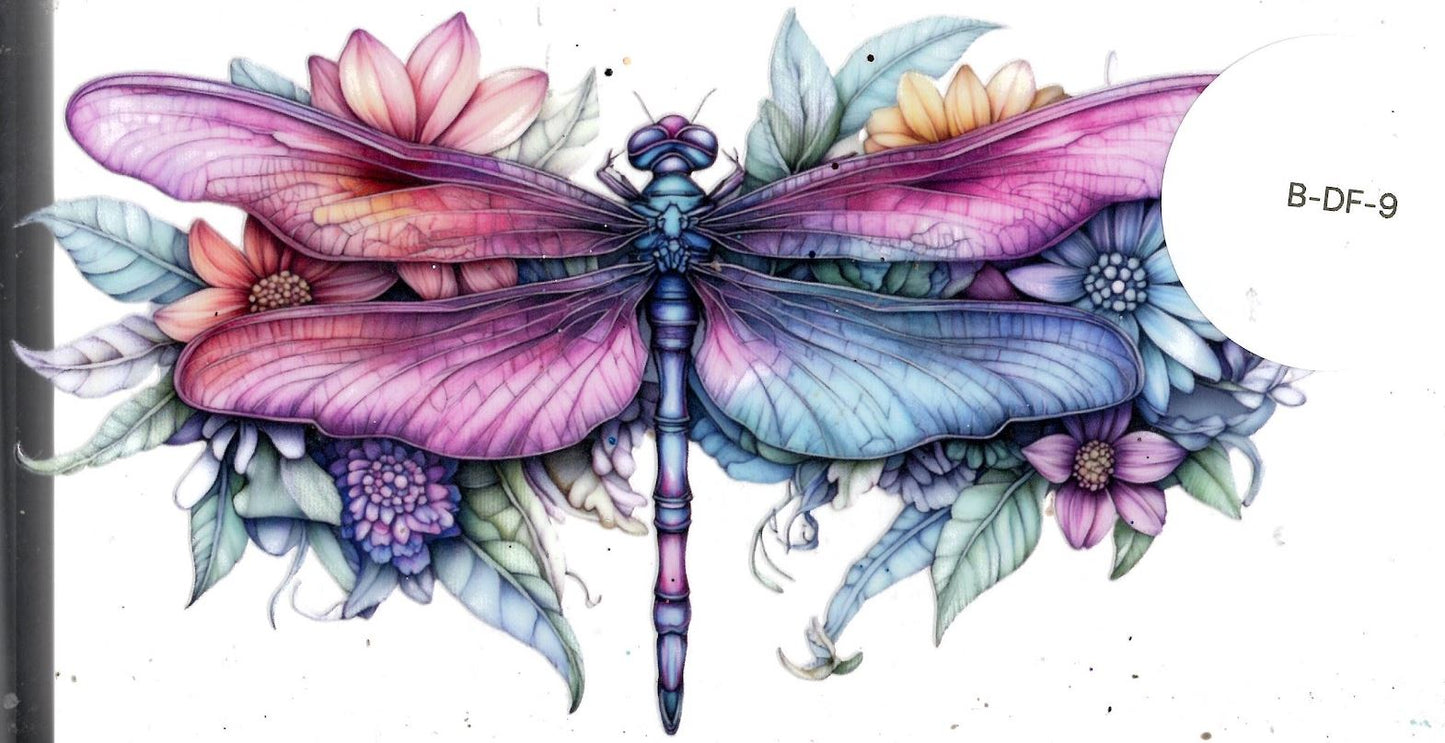 Bugs - Dragonfly