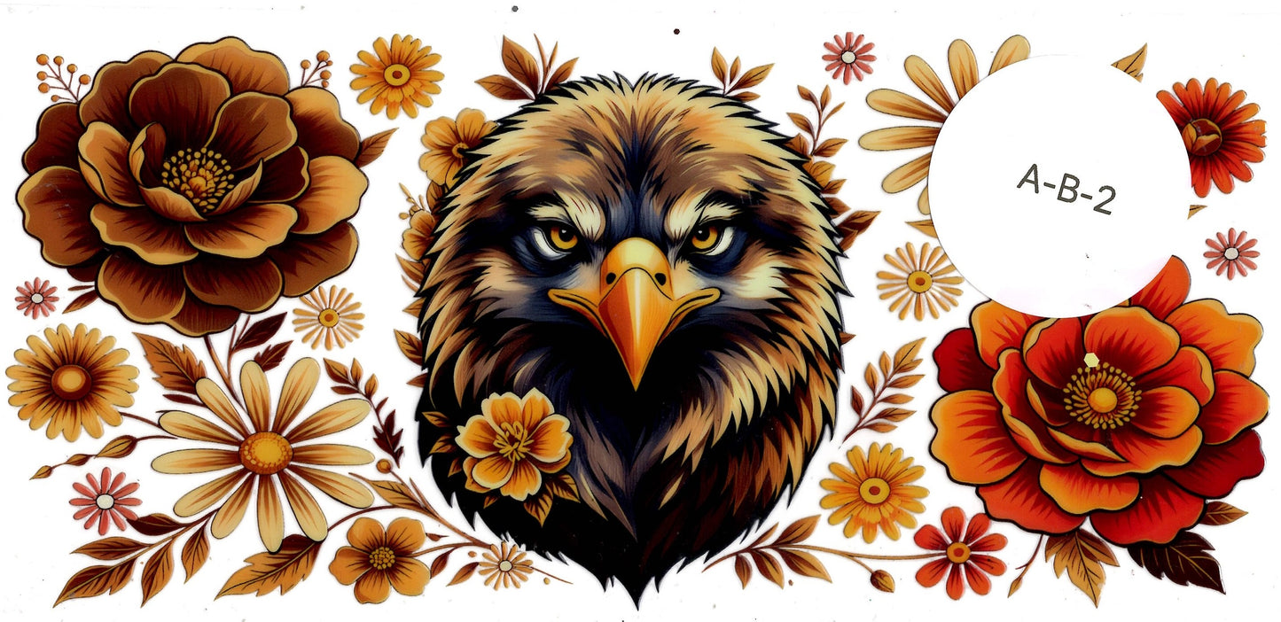 Animal - Birds
