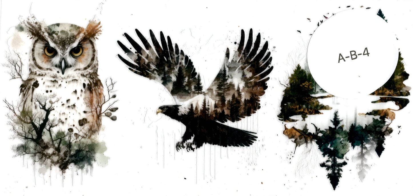 Animal - Birds