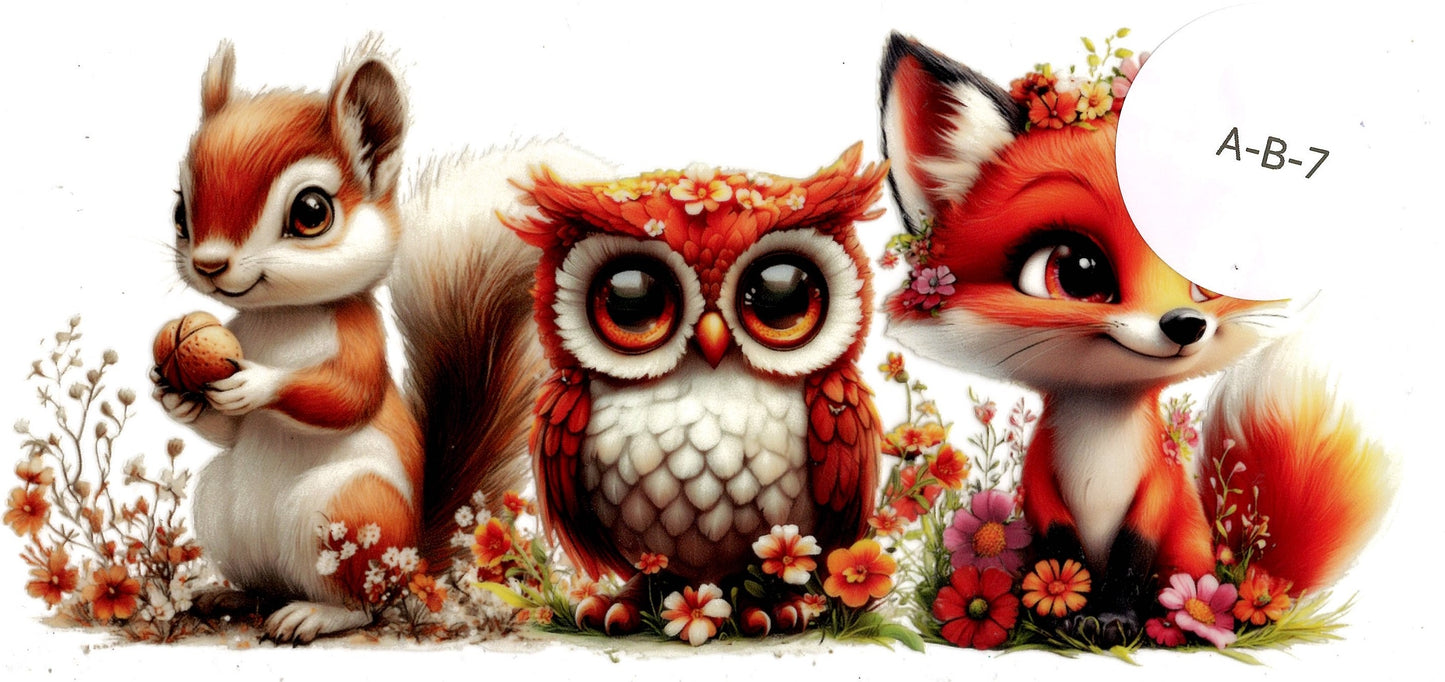 Animal - Birds