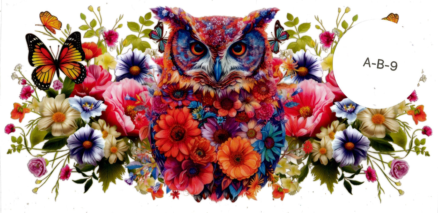 Animal - Birds