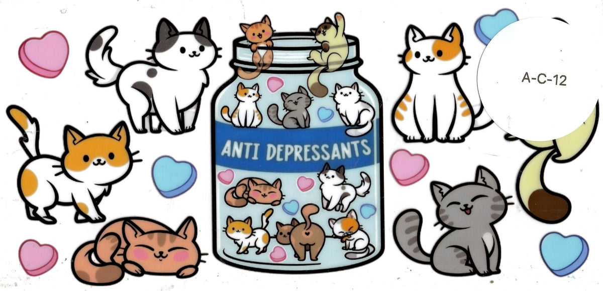 Animal - Cat