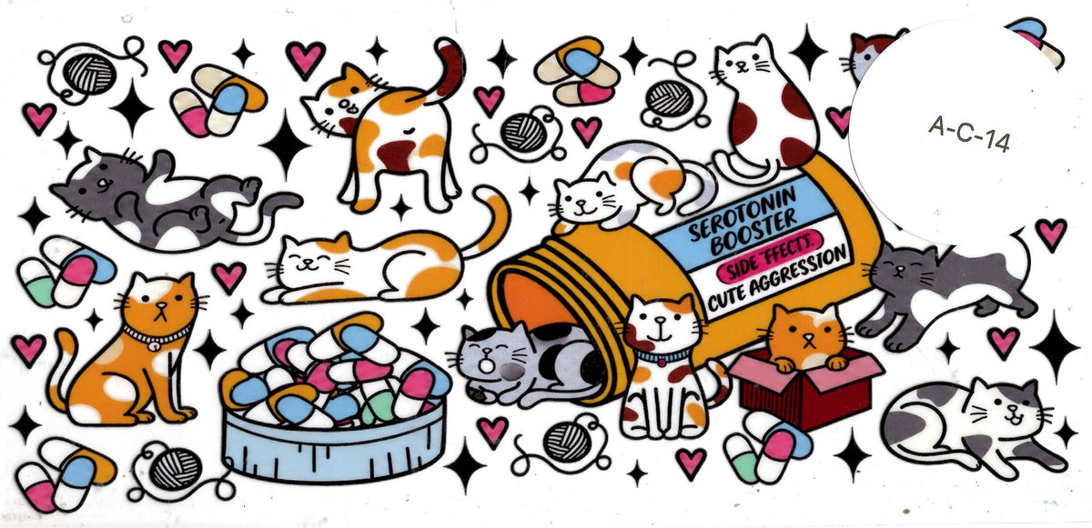 Animal - Cat