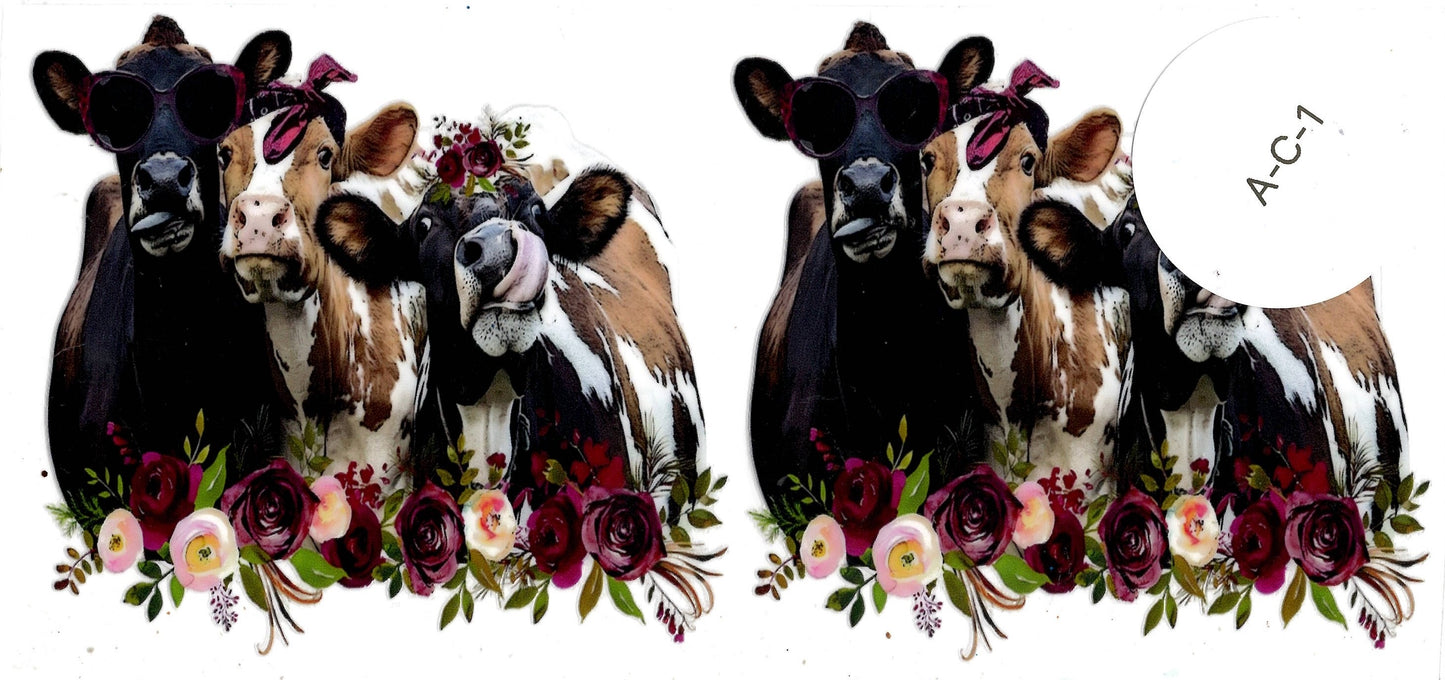 Animal - Cow